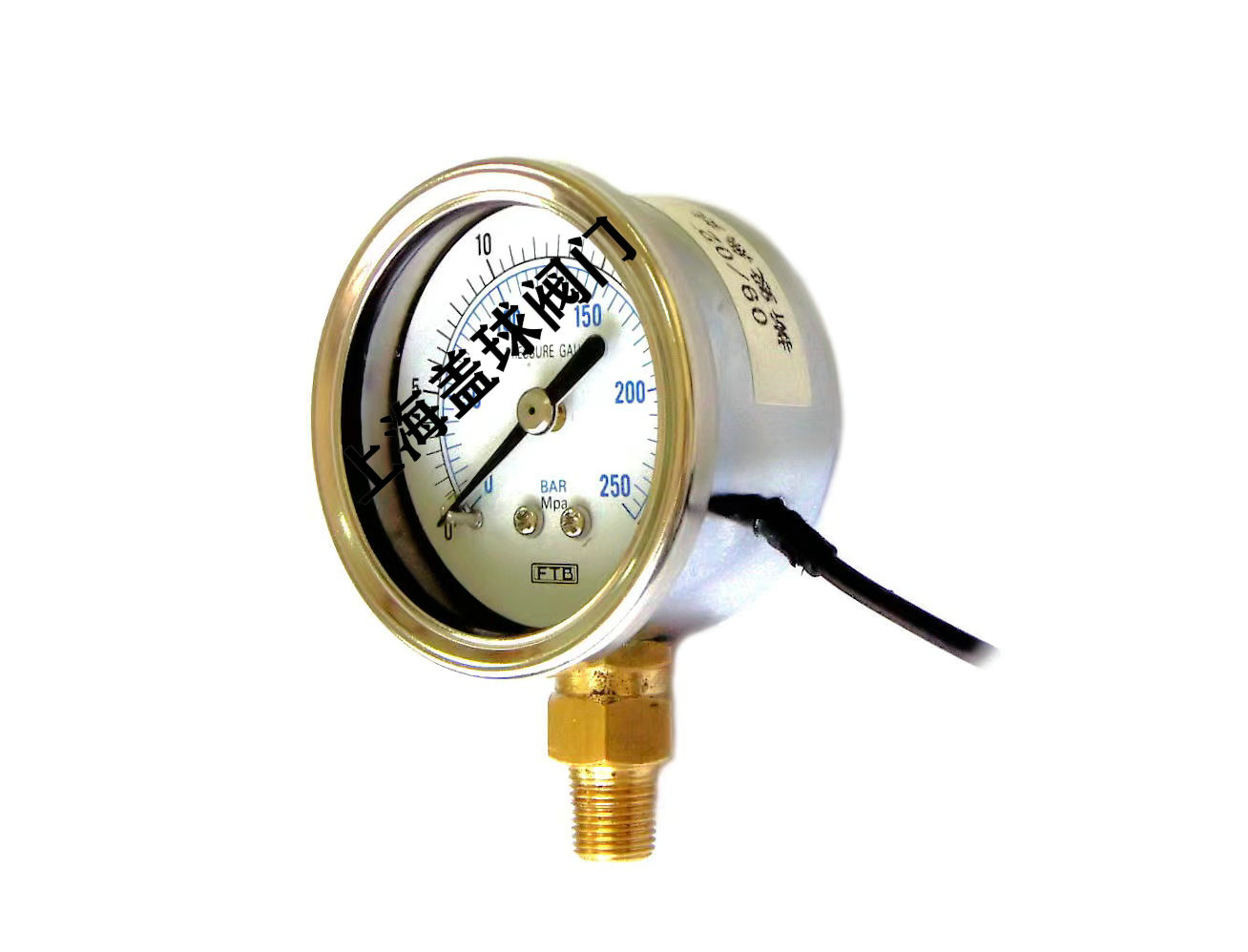 EEPG-50LM非接触式压力表-直立式.jpg