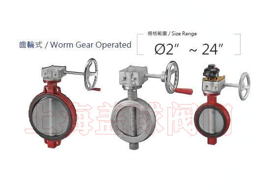 进口涡轮蝴蝶阀-超薄型.jpg