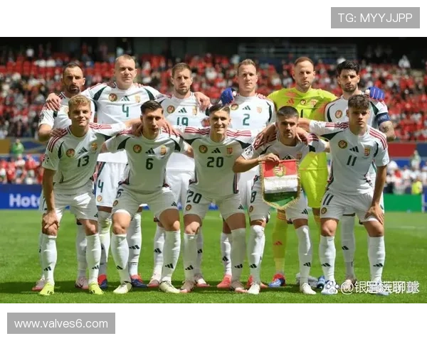 匈牙利队历史首次晋级欧洲杯决赛阶段表现稳健