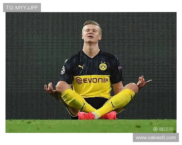 哈兰德多特蒙德转会