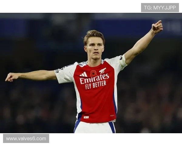 厄德高个人表现与团队成绩的生涯评估