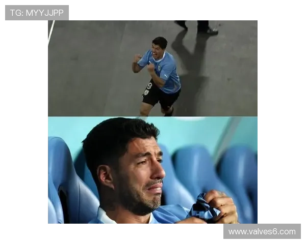 苏亚雷斯世界杯手球事件解析 苏亚雷斯世界杯手球事件解析